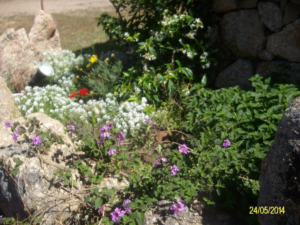 مبيت وإفطار أرتْساكينا Agriturismo Spridda المظهر الخارجي الصورة