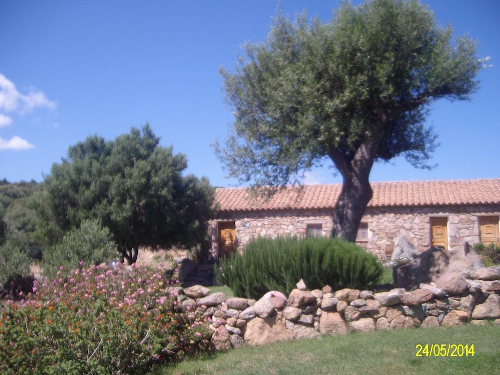 مبيت وإفطار أرتْساكينا Agriturismo Spridda المظهر الخارجي الصورة