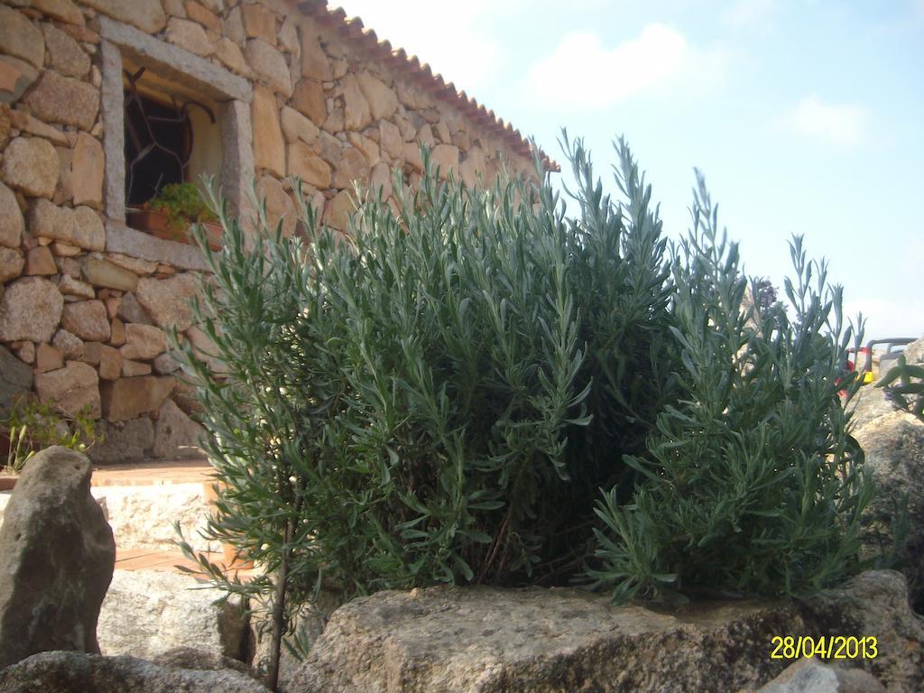 مبيت وإفطار أرتْساكينا Agriturismo Spridda المظهر الخارجي الصورة